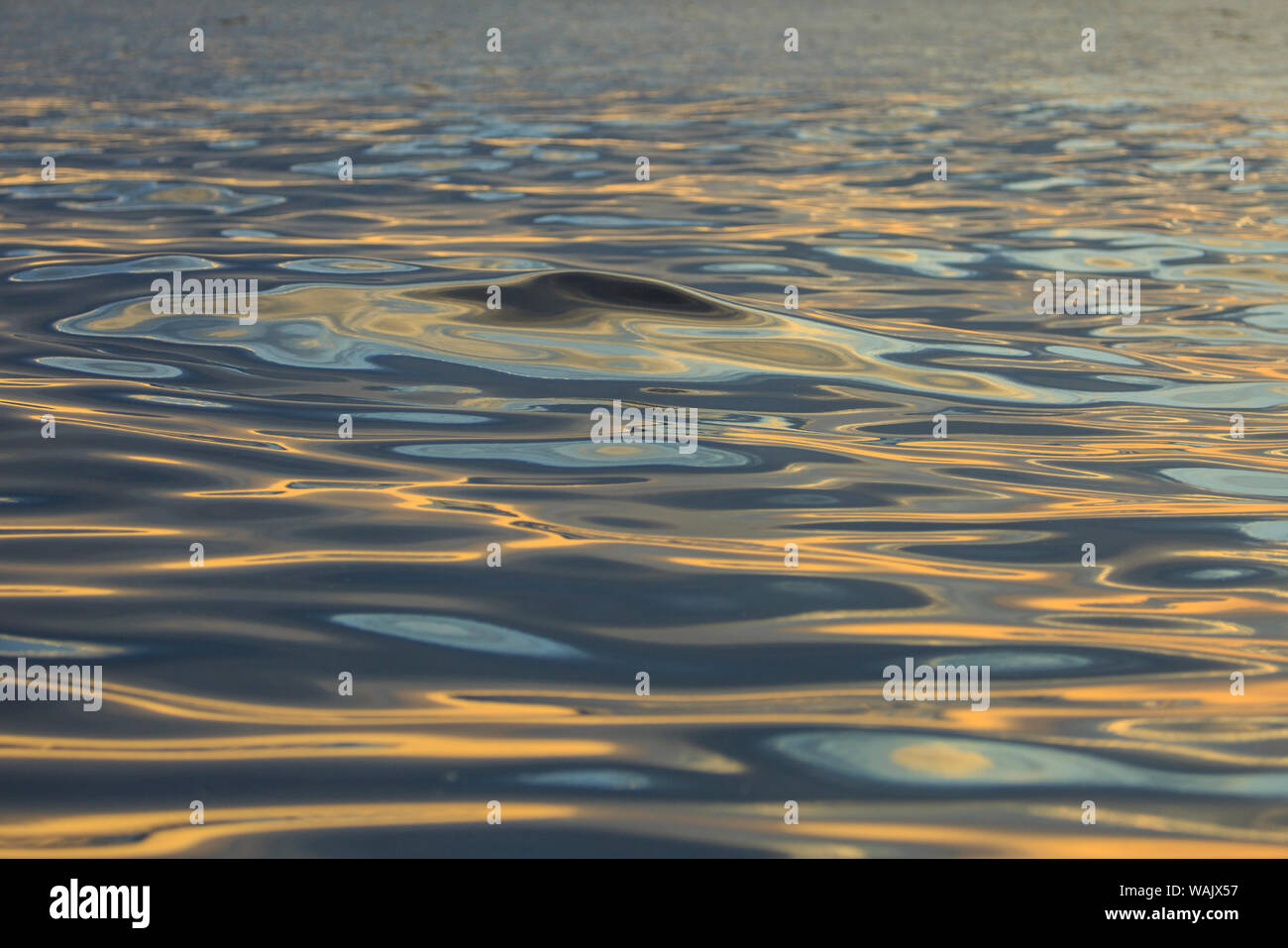 Reflexionen und Wellen auf das Meer Wasser, Hulopo'e Bay, Lanai, Hawaii. Stockfoto