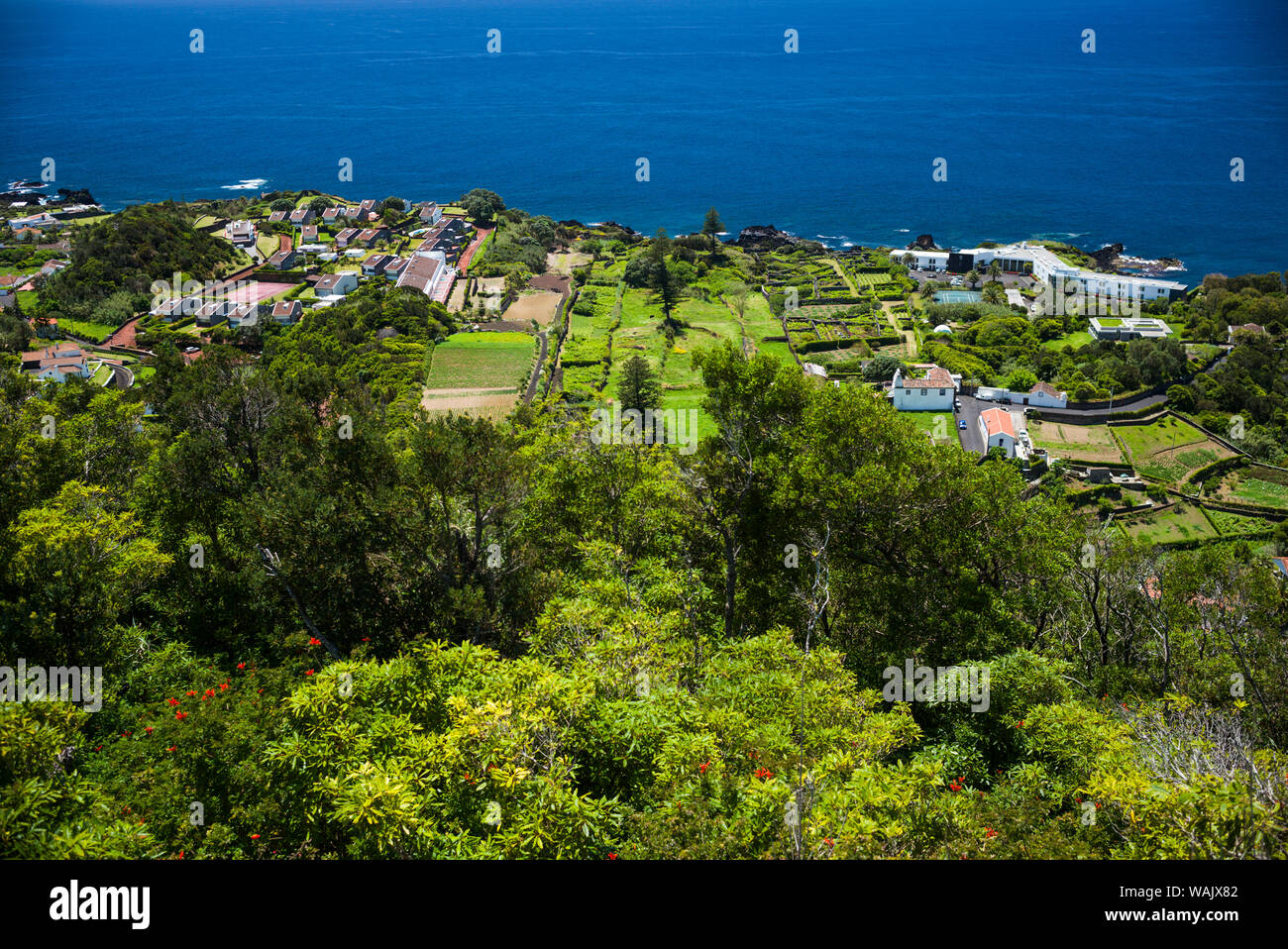 Portugal, Azoren, Sao Miguel Island, Caloura Stockfoto