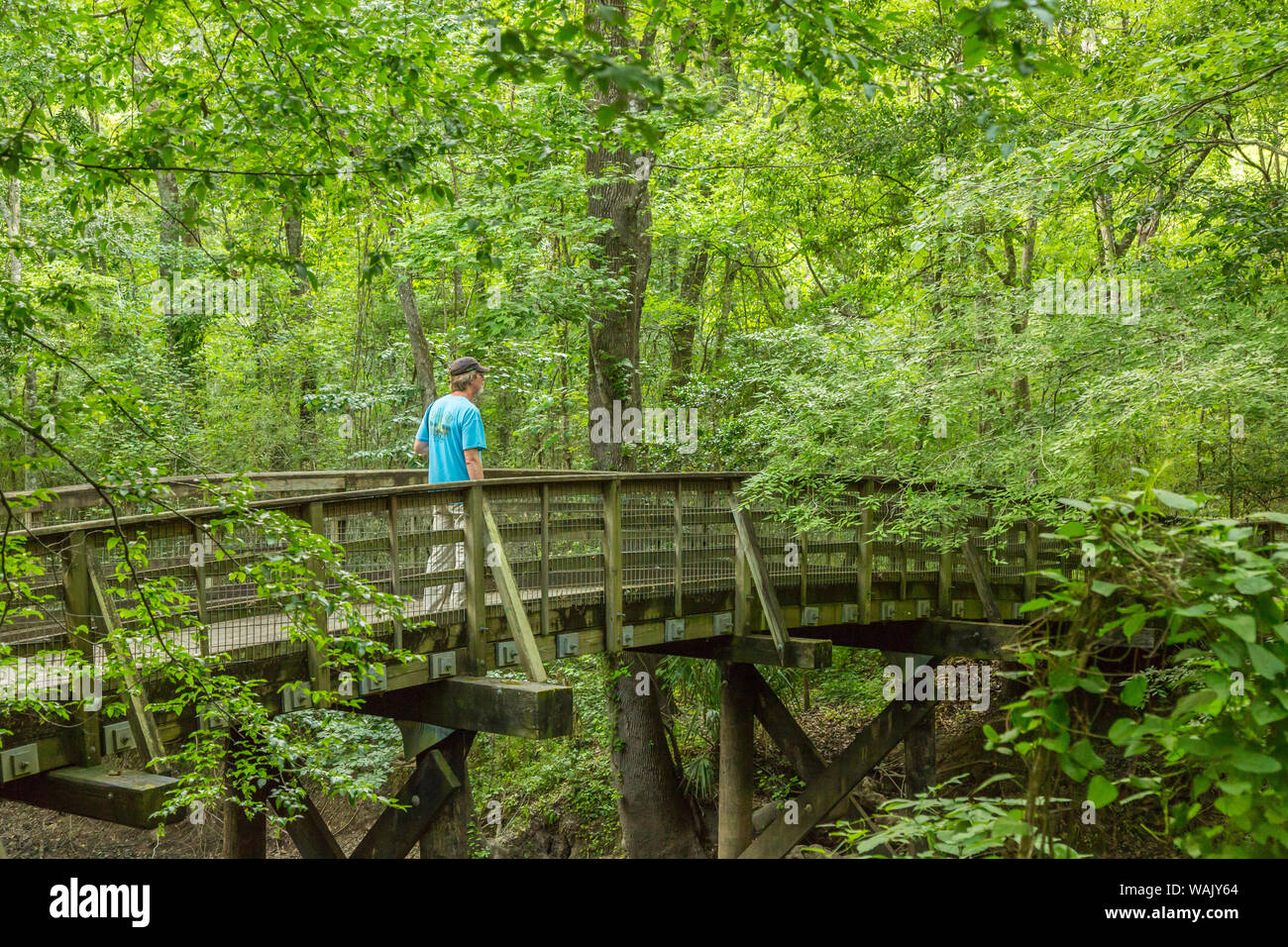 USA, Louisiana, Acadiana Park Natur entfernt. Behindertengerechte Trail. Credit: Cathy und Gordon Illg/Jaynes Galerie/DanitaDelimont.com Stockfoto