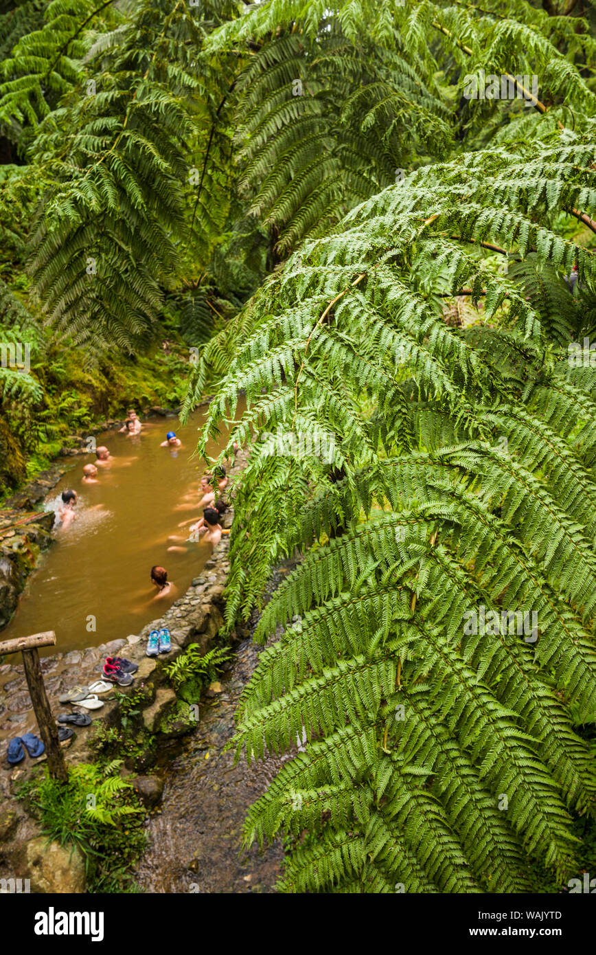 Portugal, Azoren, Sao Miguel Island, Caldeira Velha. Außen-Pool Stockfoto