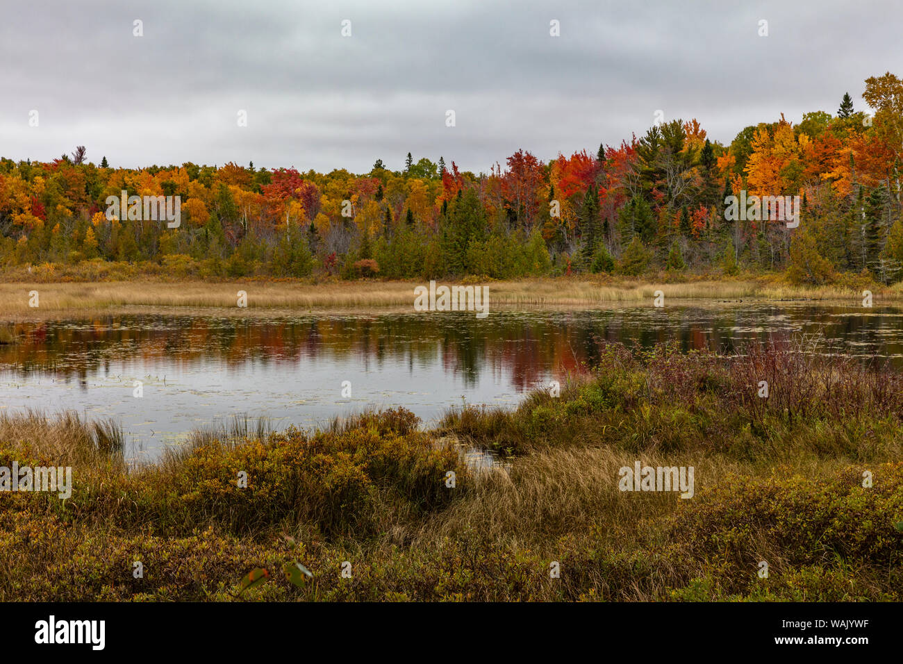 North Woods Conservancy Merganser Teich natürlichen Bereich in der Oberen Halbinsel von Michigan, USA Stockfoto