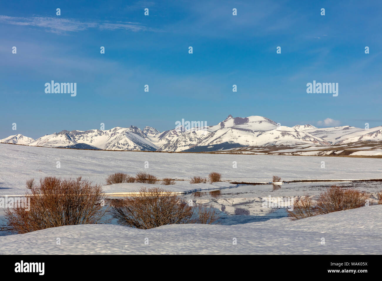 Rocky Mountains Reflexion in kleinen Teich noch Schnee - im Frühling in der Nähe von East Glacier, Montana, USA abgedeckt Stockfoto