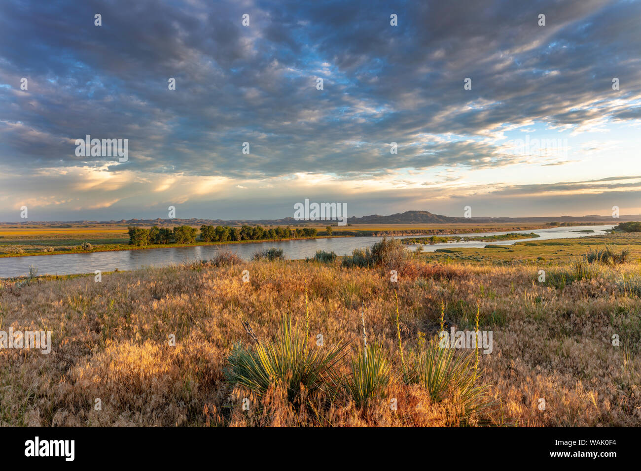 Sonnenaufgang und Wolken über den Yellowstone River am Zusammenfluss mit dem Powder River in der Nähe von Terry, Montana, USA Stockfoto