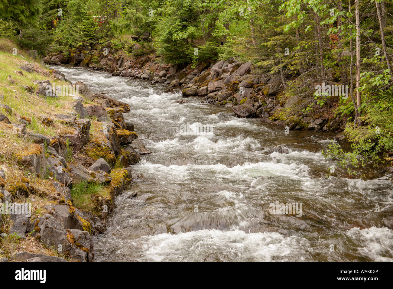 Lake McDonald, Montana, USA. Snyder Creek neben der Bildungseinrichtung und Lake McDonald Lodge. Stockfoto