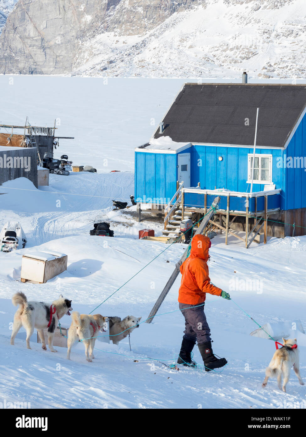 Saatut Fischerdorf im Winter in der uummannaq Fjord, nördlich des Polarkreises. Schlittenhunde sind gepflegt. Grönland. (Redaktionelle nur verwenden) Stockfoto