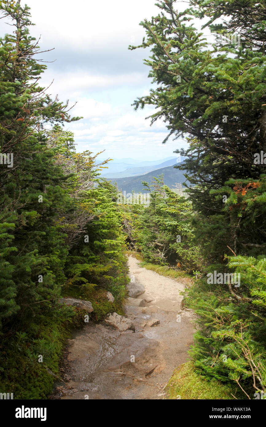 Pfad in der Nähe der Gipfel von Cannon Mountain, Franconia Notch State Park, New Hampshire, USA Stockfoto