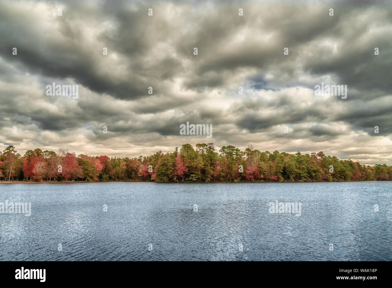 USA, New Jersey, belleplain State Forest. Gewitterwolken über den See und den Wald. Credit: Jay O'Brien/Jaynes Galerie/DanitaDelimont.com Stockfoto