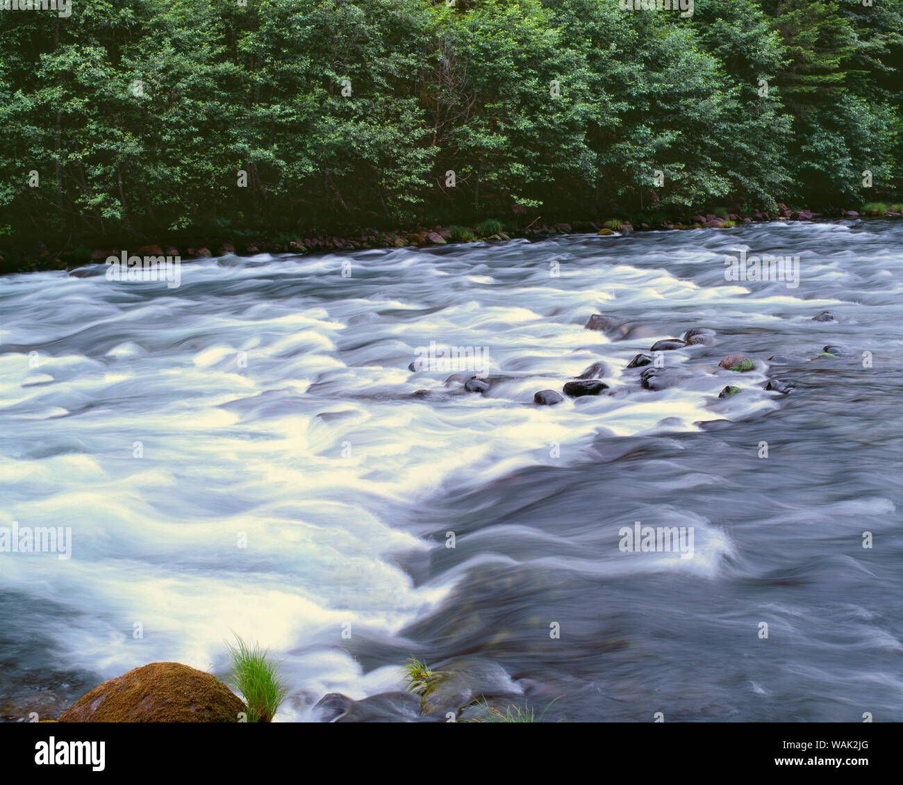 USA, Oregon, Mount Hood National Forest. Oberlauf der Clackamas River. Die Clackamas River ist ein staatlich benannten Wild und Scenic River. Stockfoto