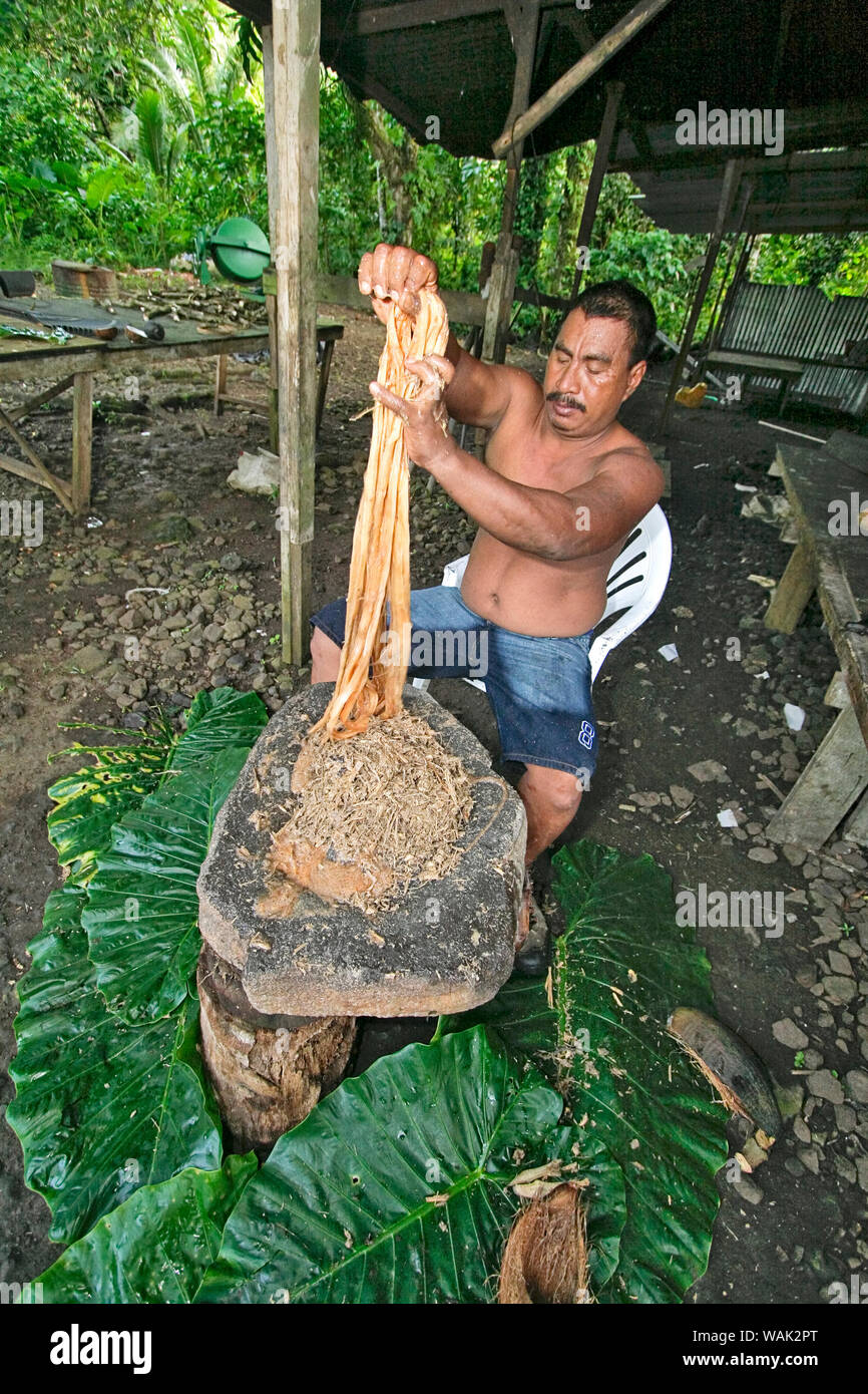 Kosrae, Mikronesien (FSM). Man richt Stränge der Hibiskus Rinde, die bei sakau (Kava) verwendet wird, wird eine milde berauschenden und Getränk. (Redaktionelle nur verwenden) Stockfoto