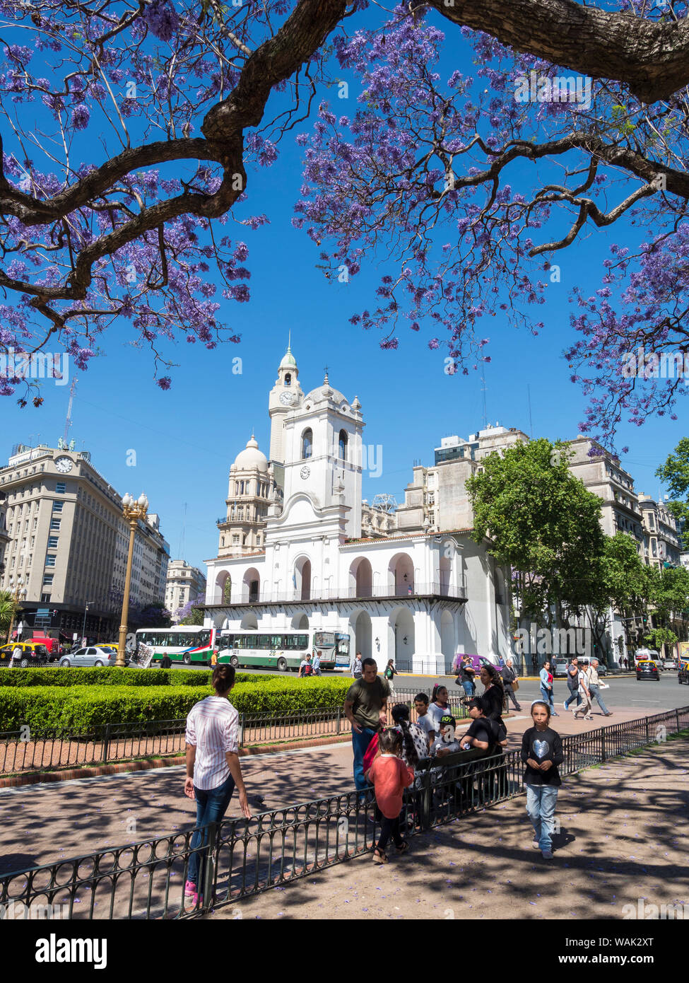 Plaza de Mayo und das Museo Historico del Cabildo y La Revolucion de Mayo. Südamerika, Buenos Aires, Argentinien. (Redaktionelle nur verwenden) Stockfoto