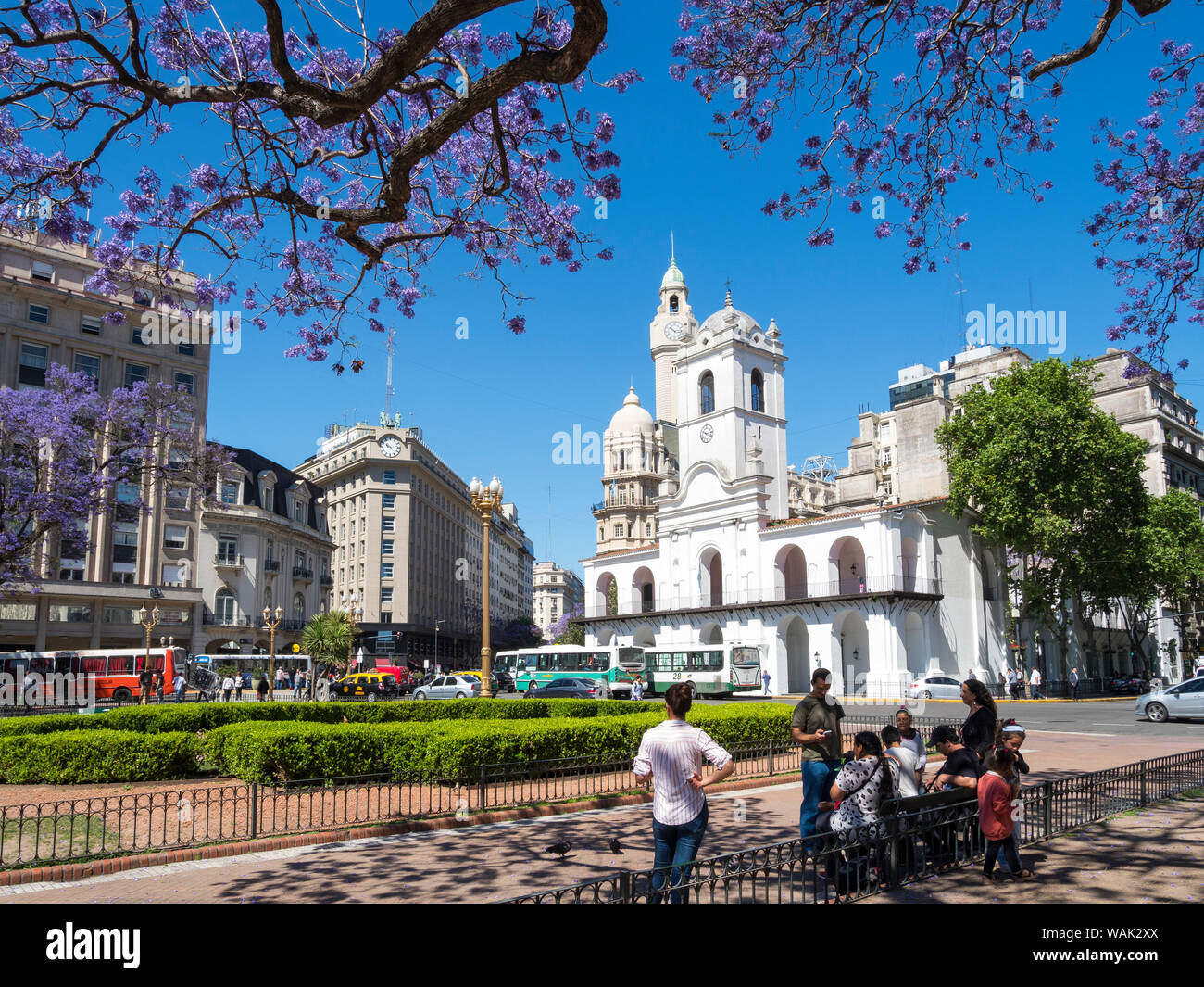Plaza de Mayo und das Museo Historico del Cabildo y La Revolucion de Mayo. Südamerika, Buenos Aires, Argentinien. (Redaktionelle nur verwenden) Stockfoto