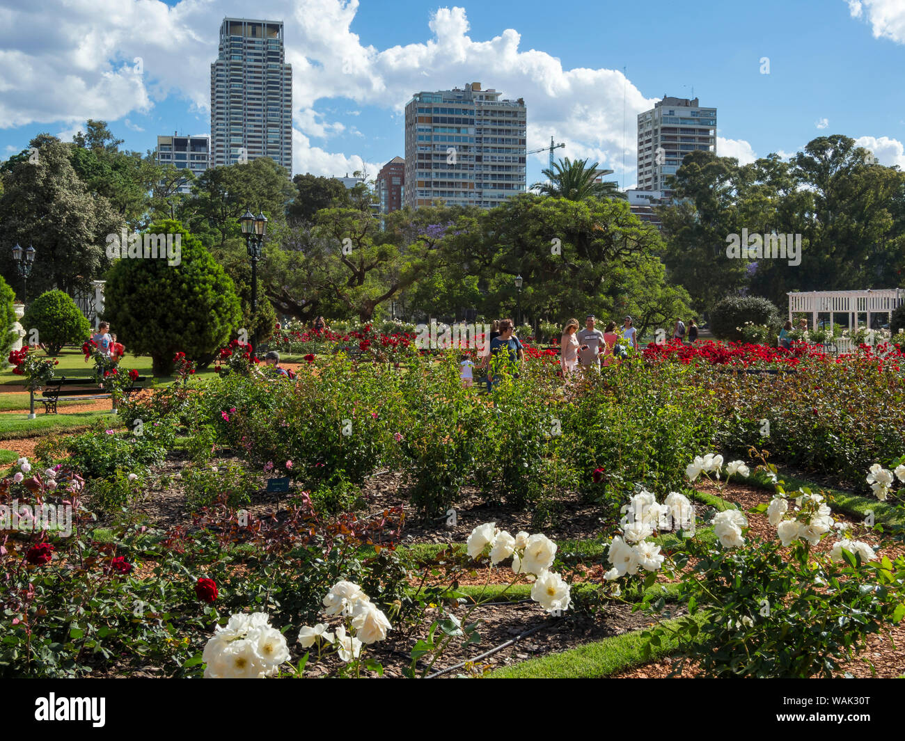 Bosques de Palermo in Palermo, der Rosengarten (El Rosedal de Palermo). Buenos Aires, Argentinien. Stockfoto