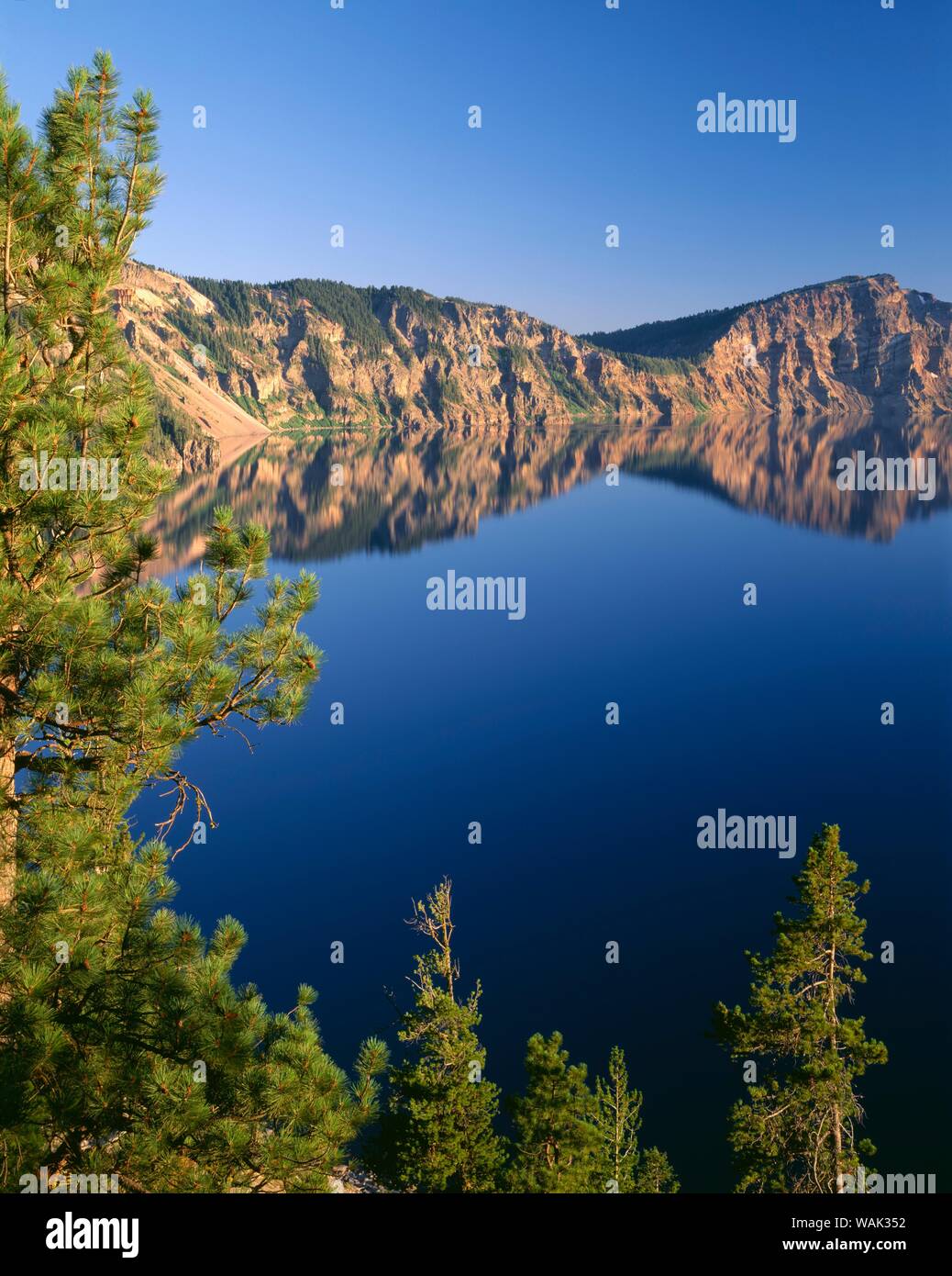 USA, Oregon, Crater Lake National Park. Whitebark Kiefern Rahmen südlich von Palisade in Richtung Sentinel Rock (Mitte) und Dutton Cliff (rechts). Stockfoto