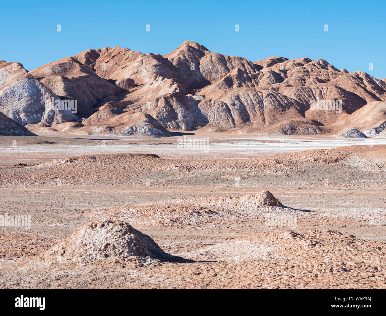 Salar de Arizaro, einer der grössten Salzsee der Welt. Das Altiplano, in der Nähe des Dorfes Tolar Grande, nahe der Grenze zu Chile. Südamerika, Argentinien Stockfoto