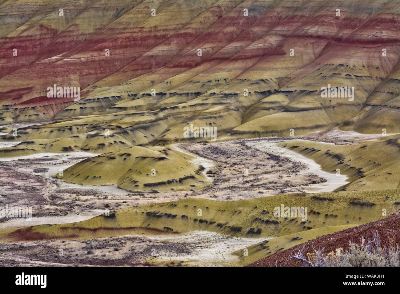 Übersehen, Painted Hills, John Day Fossil Beds, Mitchell, Oregon, USA. Stockfoto