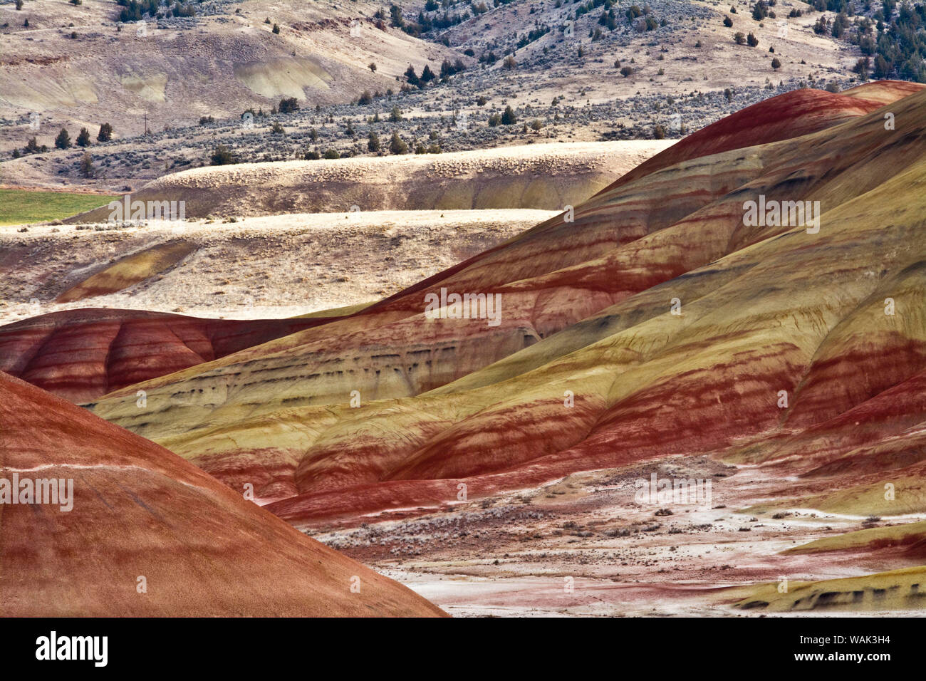Übersehen, Painted Hills, John Day Fossil Beds, Mitchell, Oregon, USA. Stockfoto