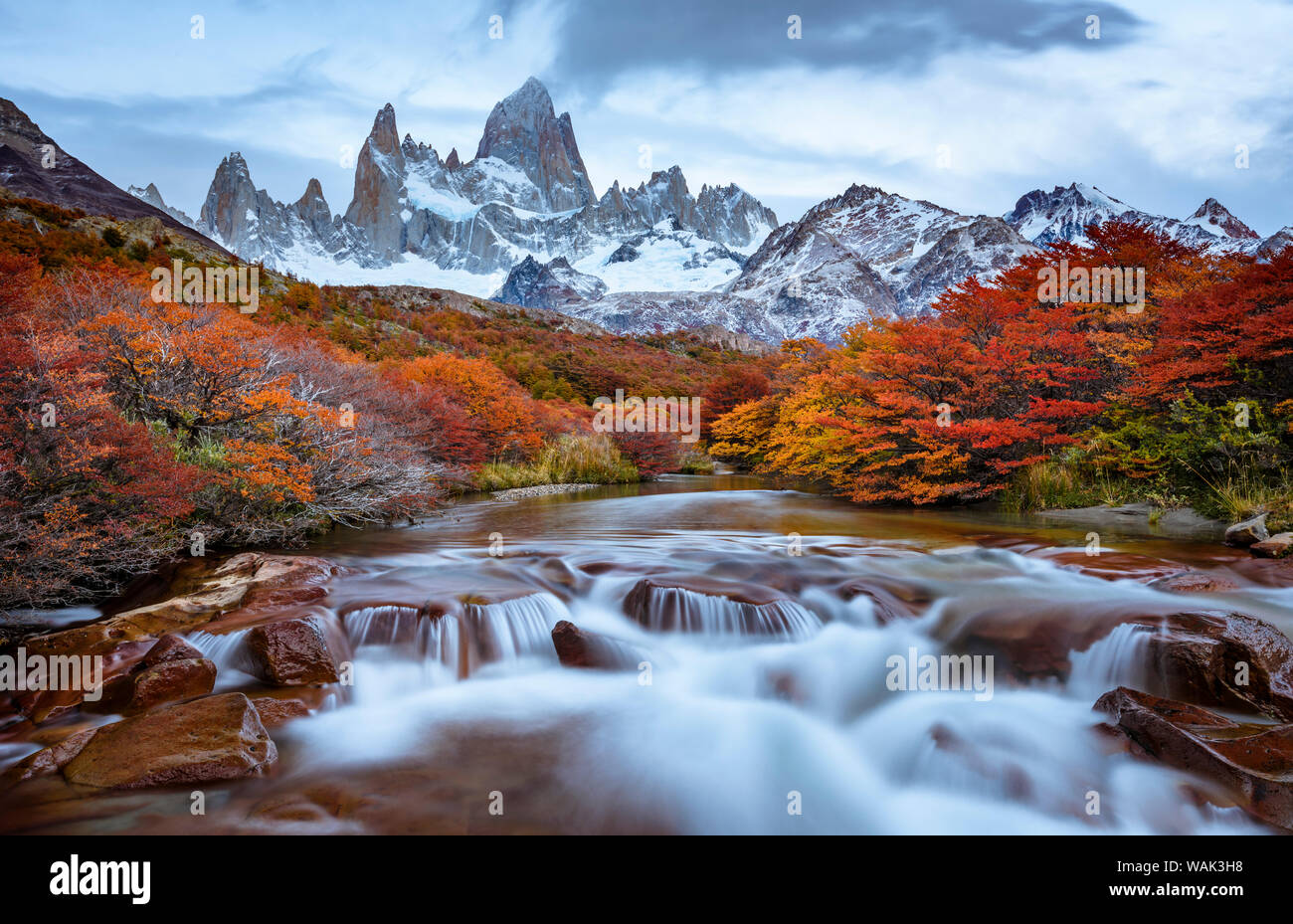 Argentinien, Nationalpark Los Glaciares. Mt. Fitz Roy und Lenga Buche im Herbst. Stockfoto