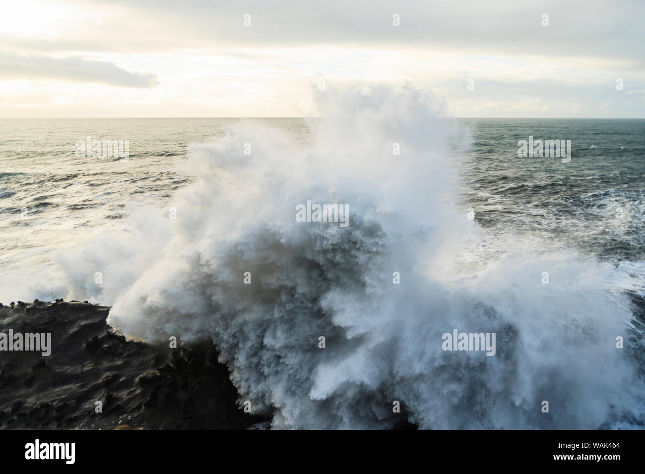 Winter Storm beobachten, Shore Acres State Park, der südlichen Küste von Oregon, USA Stockfoto