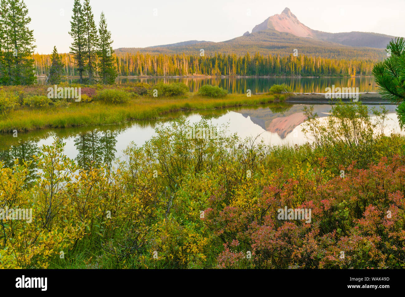 Big Lake, Willamette National Forest, Mt. Washington, Oregon Stockfoto
