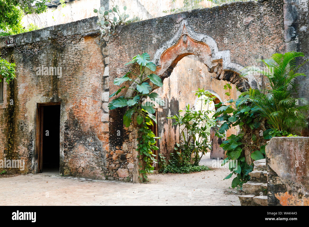 Yucatan, Mexiko. Stockfoto