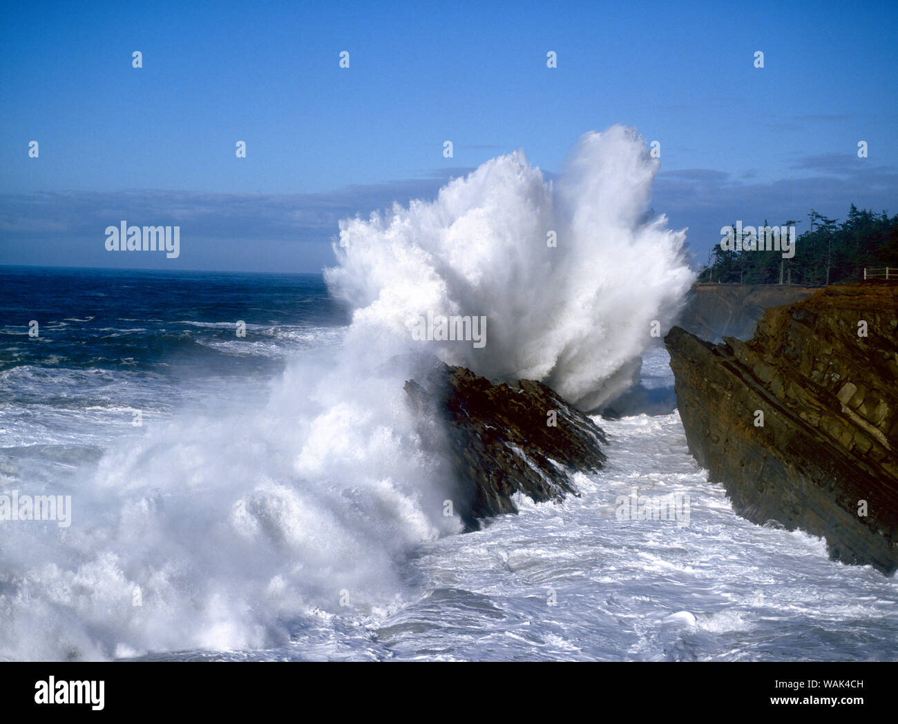 Riesige Welle brechen, Shore Acres State Park, Oregon Küste Stockfoto