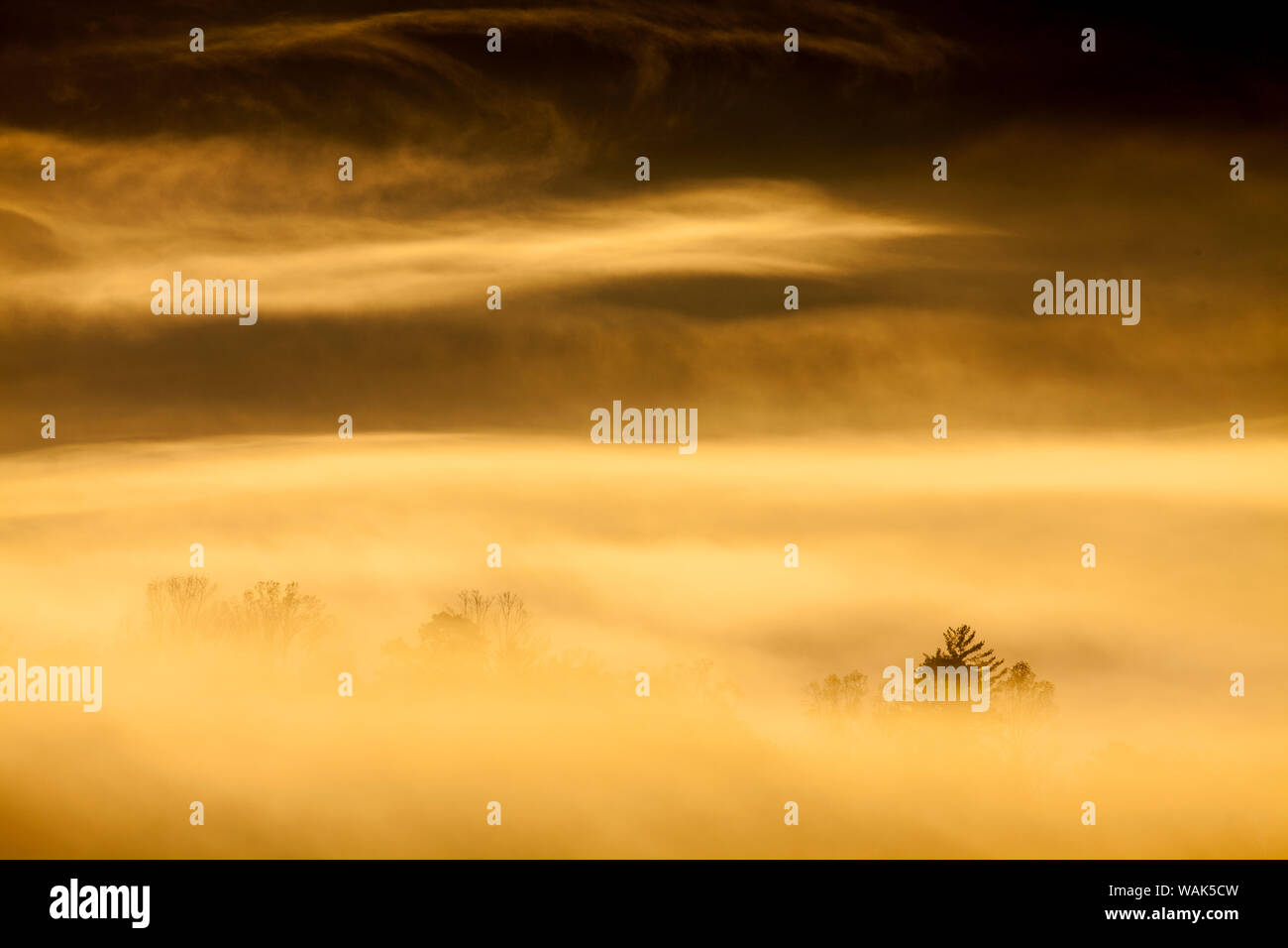 USA, Tennesse. Am frühen Morgen Nebel in Cades Cove. Stockfoto