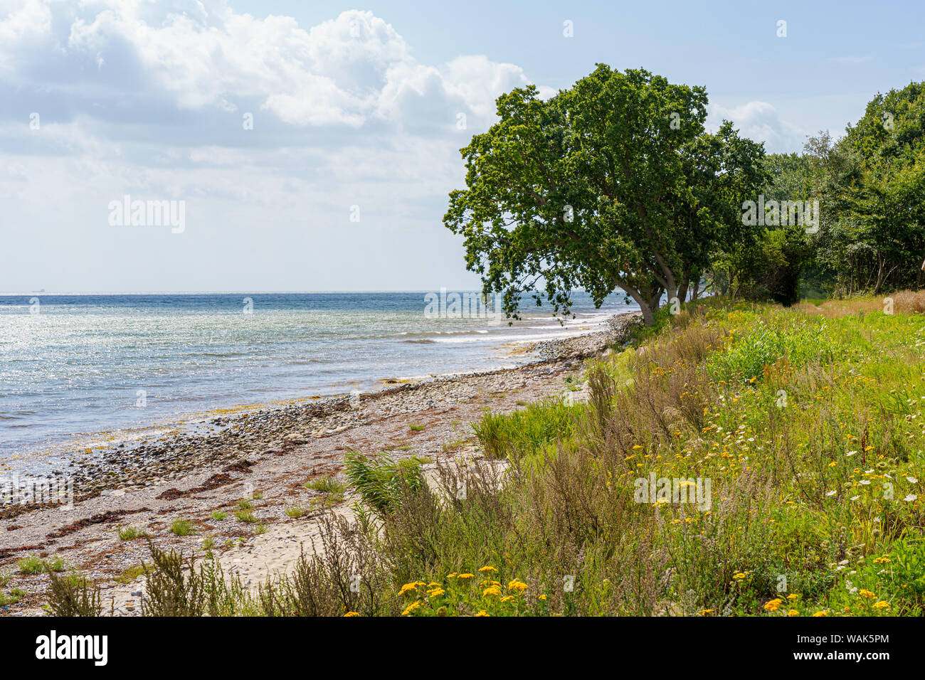 Blick von der Küste über Holzpfähle im Wasser der Ostsee Stockfoto