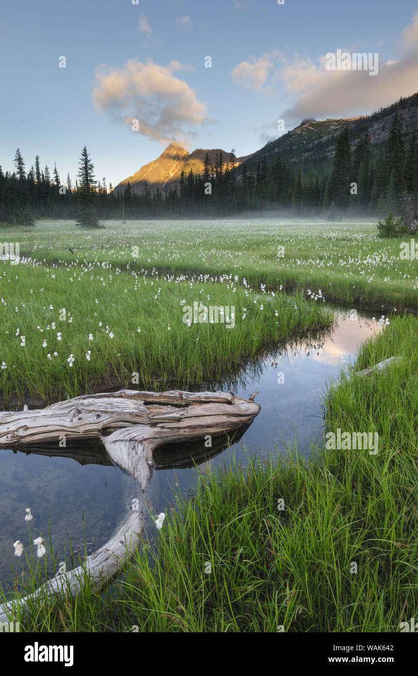 Washington State, North Cascades Stockfoto