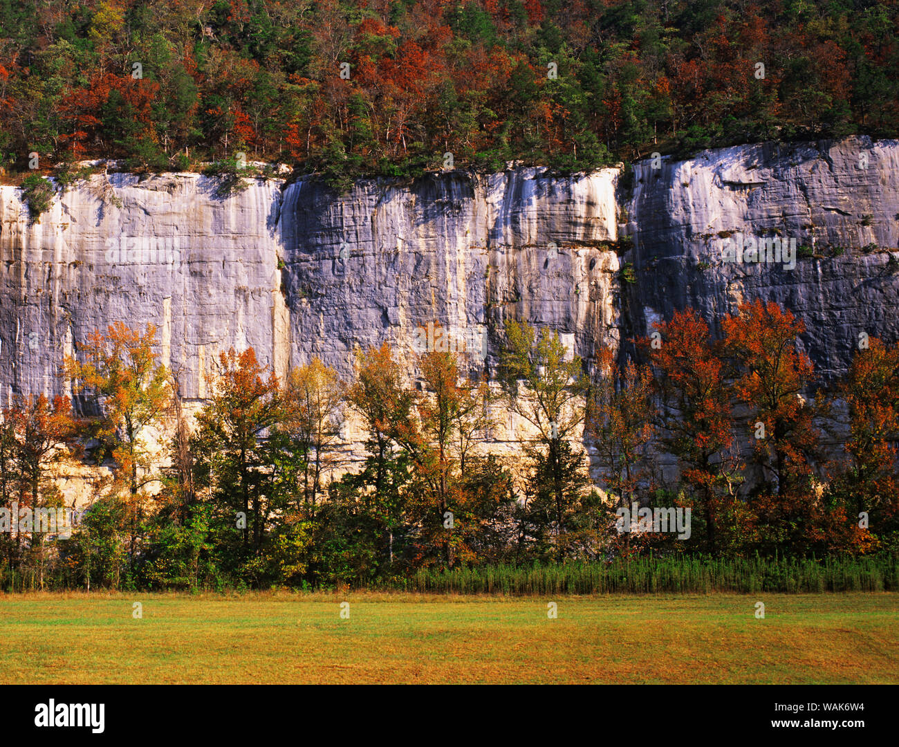 USA, Arkansas, Buffalo National Scenic River. Granit Felsen und Wald. Kredit als: Dennis Flaherty/Jaynes Galerie/DanitaDelimont.com Stockfoto