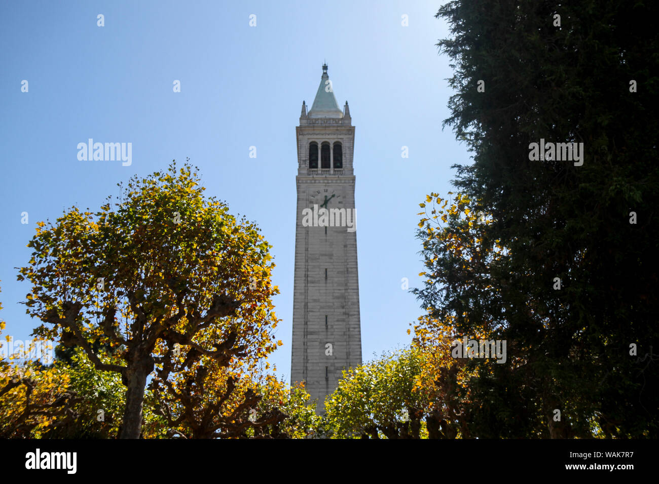 Sather Tower (Campanile), Universität von Kalifornien, Berkeley, Kalifornien, USA. Stockfoto