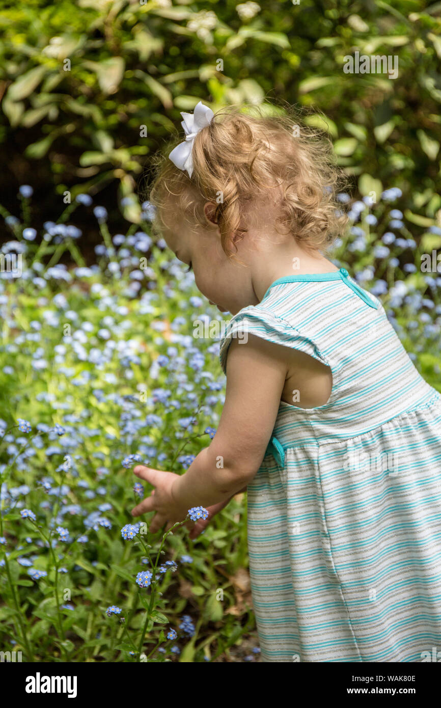 Issaquah, Washington State, USA. 18 Monate altes Mädchen bewundern die Vergißmeinnicht Blumen (MR) Stockfoto