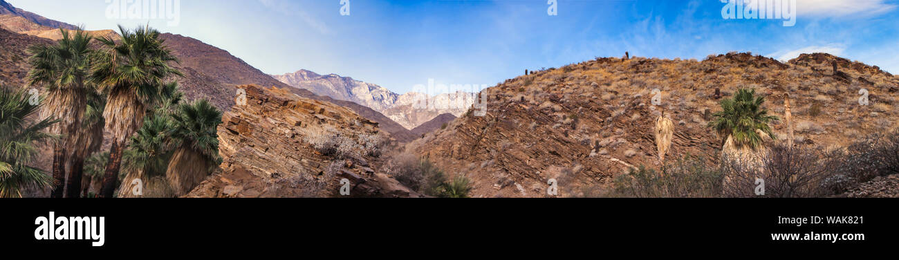 Indian Canyons, Palm Springs, Kalifornien Stockfoto