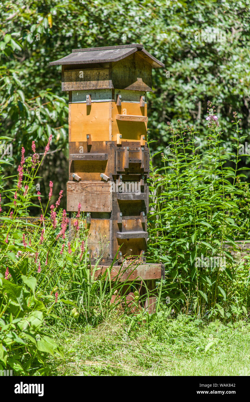 Snoqualmie, Washington State, USA. Ein Warre hive ist eine vertikale Top bar Hive, Bars verwendet anstelle von Frames, die in der Regel mit einem Holzkeil oder Guide auf der Bars, aus denen die Bienen ihre eigenen Kamm bauen. (PR) Stockfoto