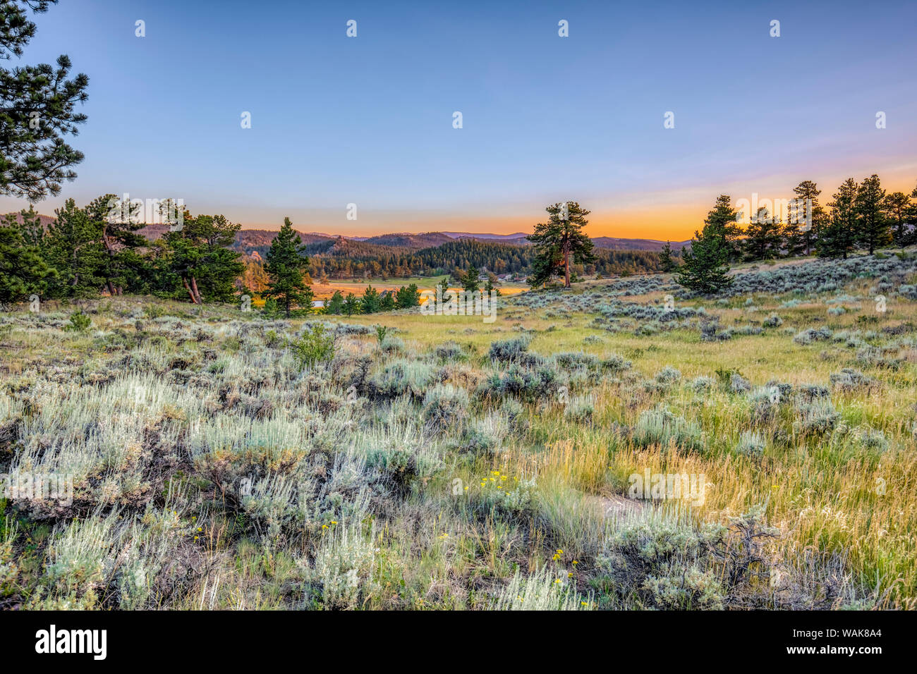USA, Colorado, Red Feather Seen. Sonnenuntergang auf Landschaft. Credit: Fred Herr/Jaynes Galerie/DanitaDelimont.com Stockfoto