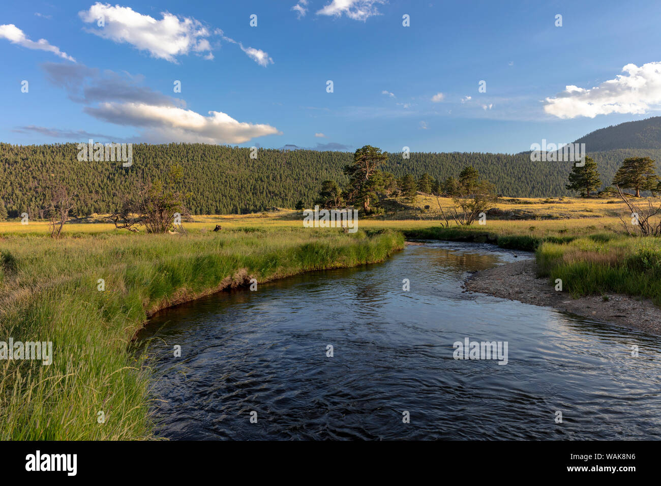 Big Thompson River in Moraine Park im Rocky Mountain National Park, Colorado, USA Stockfoto
