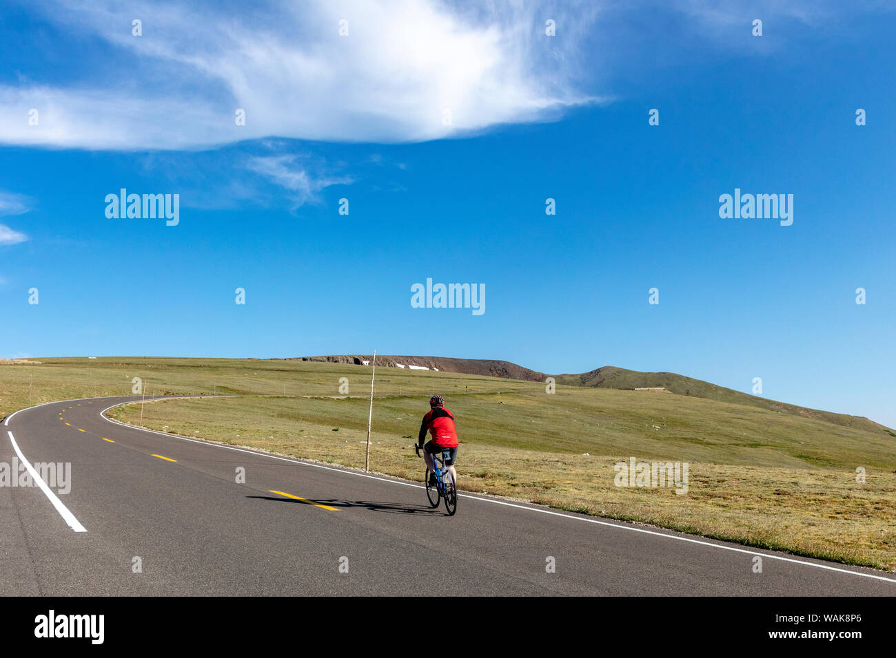 Straße Radfahren auf der Trail Ridge Road im Rocky Mountain National Park, Colorado, USA (MR) Stockfoto