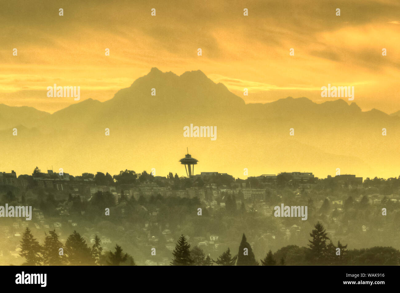 Seattle Space Needle und Olympischen Berge jenseits, von downtown Bellevue, Washington State, USA Stockfoto