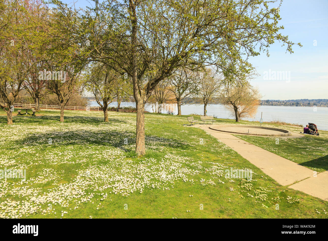 Magnuson Park, das zweitgrößte Seattle's Park (350 ha) in der Nähe von Sand Point, Washington State, USA Stockfoto