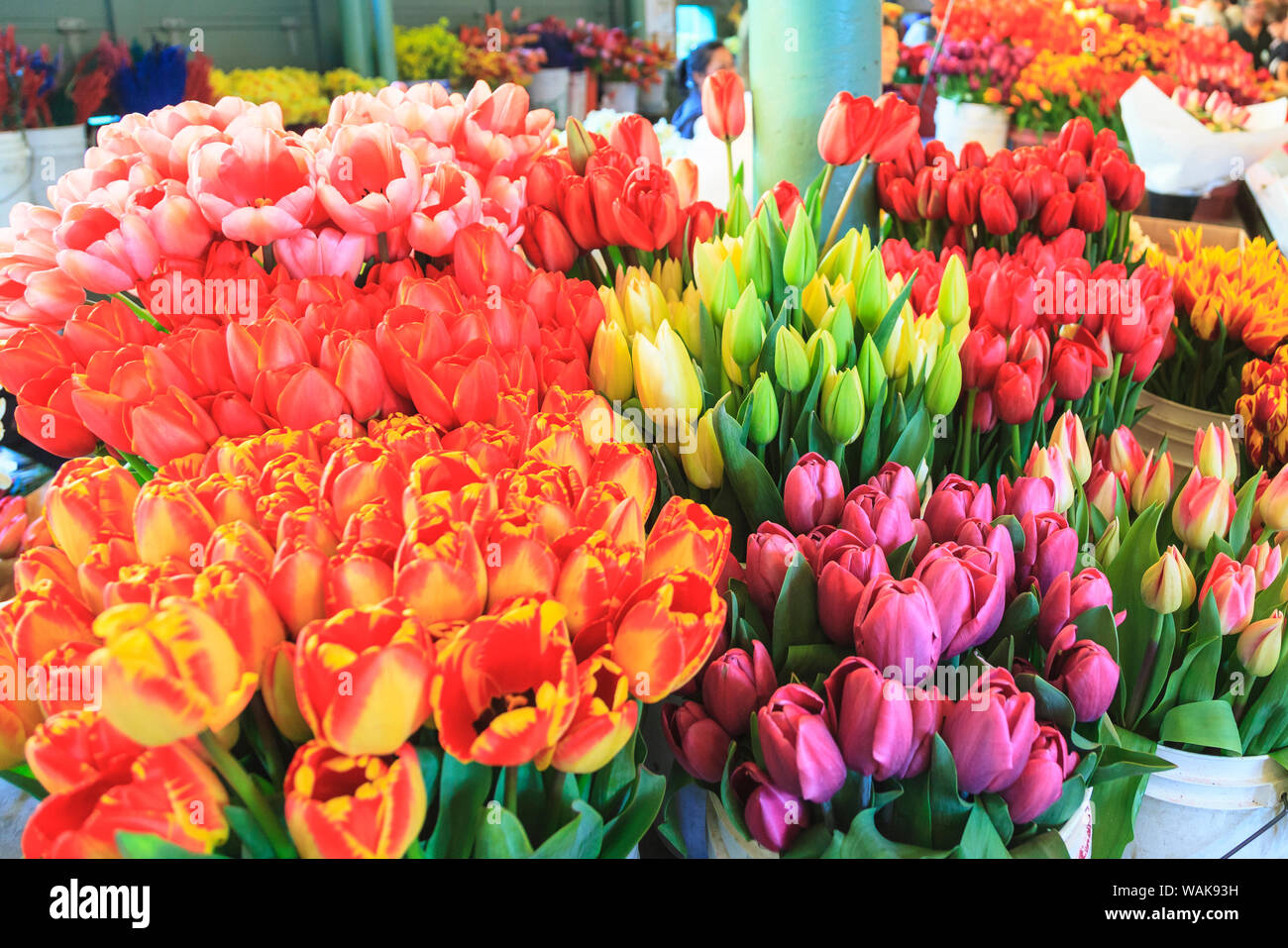Blumen für den Verkauf am Pike Place Market im späten Frühjahr, Seattle, Washington State, USA Stockfoto