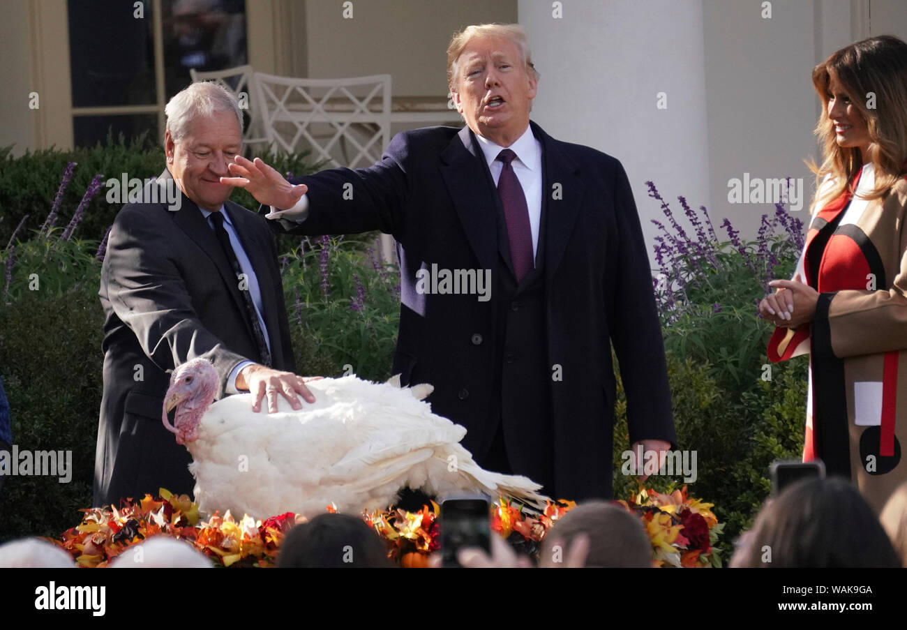 November 20, 2018. Washington, D.C. Präsident Donald Trump Begnadigungen eine Türkei namens "Erbsen" im Rosengarten des Weißen Hauses. First Lady Melania Trump ist neben dem Präsidenten. Stockfoto