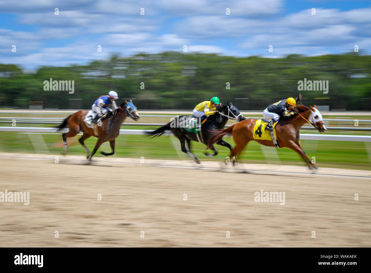 Jockeys Drücken der Pferde in der letzten Runde des Rennens Stockfoto