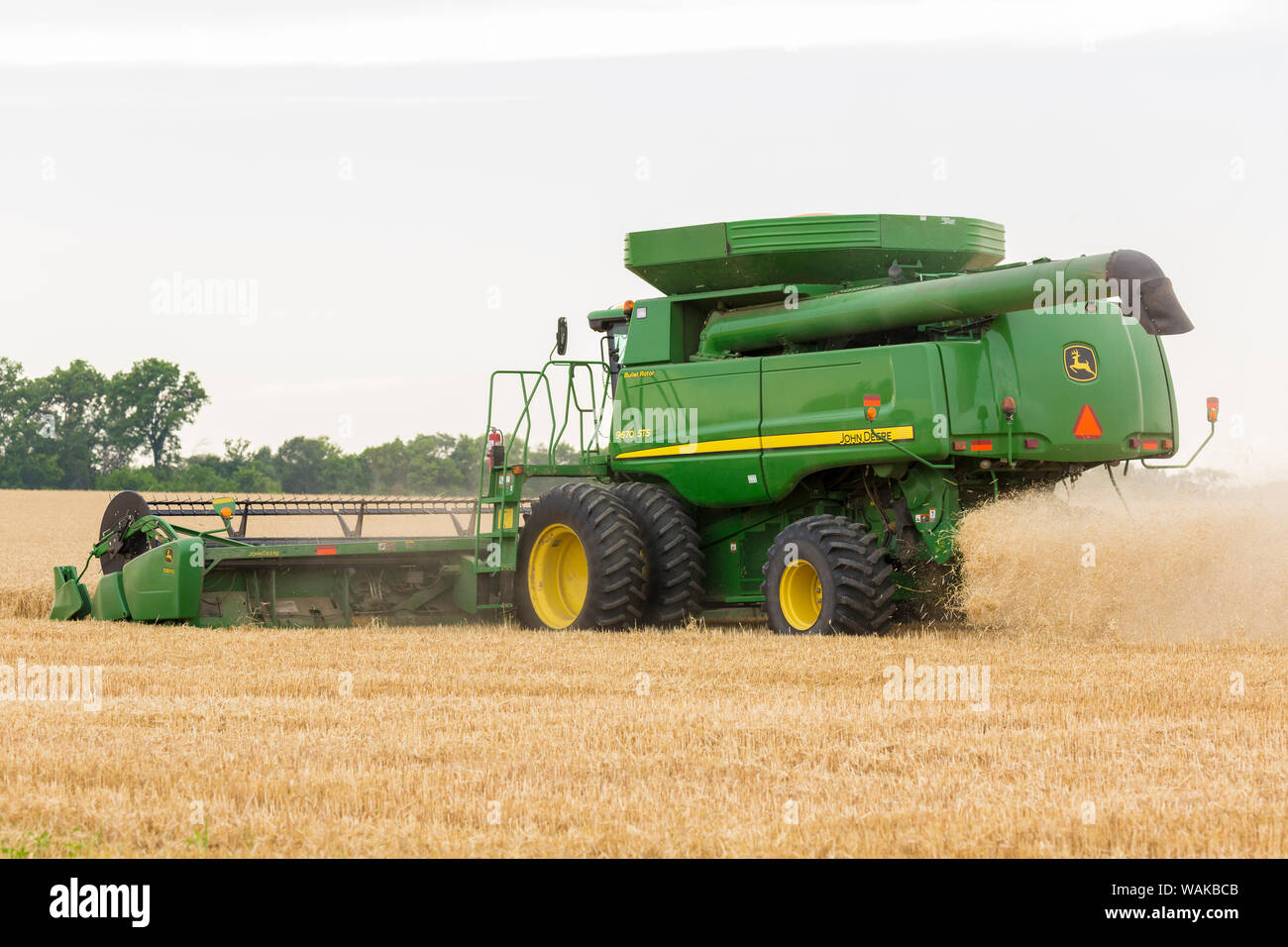 Weizenernte. Marion County, Illinois. Stockfoto