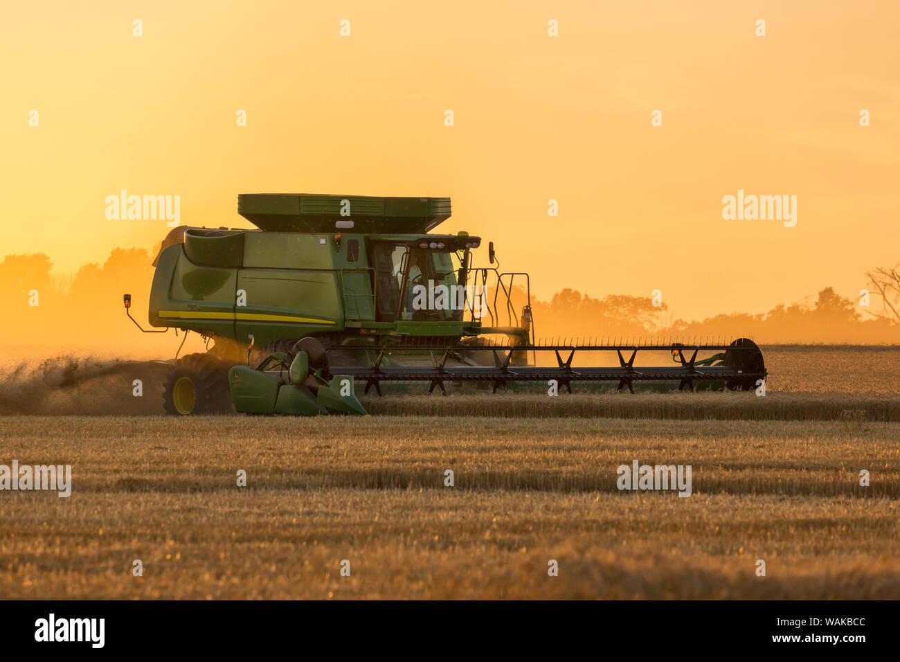 Weizen Ernte bei Sonnenuntergang. Marion County, Illinois. Stockfoto