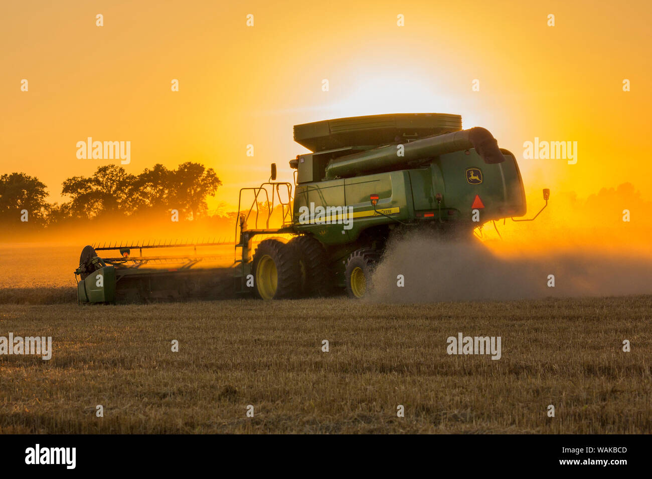 Weizen Ernte bei Sonnenuntergang. Marion County, Illinois. Stockfoto