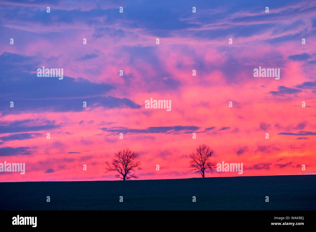 Sonnenuntergang. Marion County, Illinois. Stockfoto