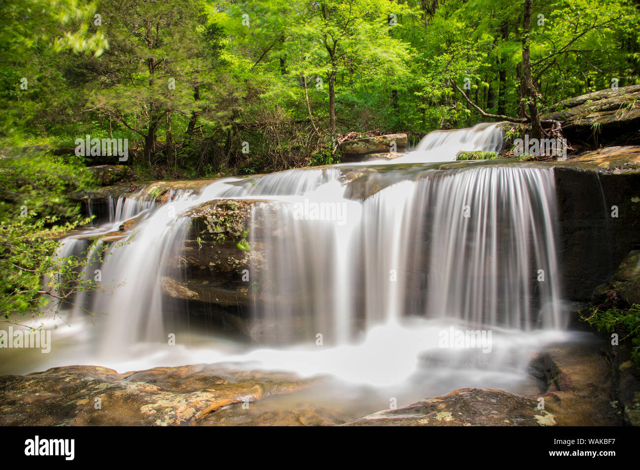 Last fällt Shawnee National Forest. Saline County, Illinois Stockfoto