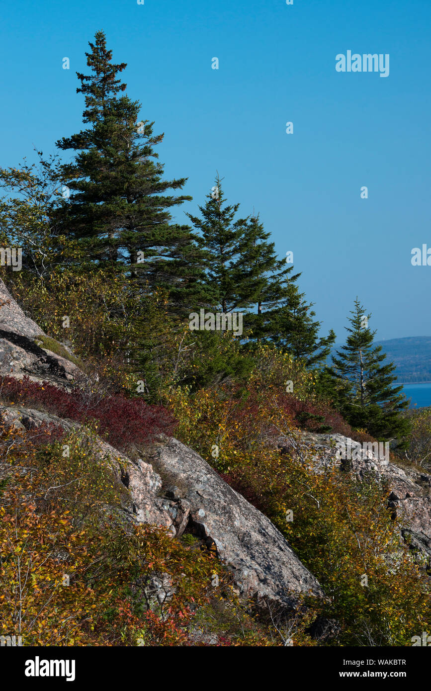 USA, Maine. Blick von der Blasen, in der Nähe der Jordan Teich, Acadia National Park. Stockfoto