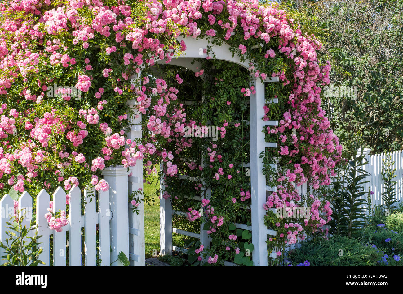 USA, Maine, Cape Porpoise. Mit Blumen geschmückte Tor Stockfoto