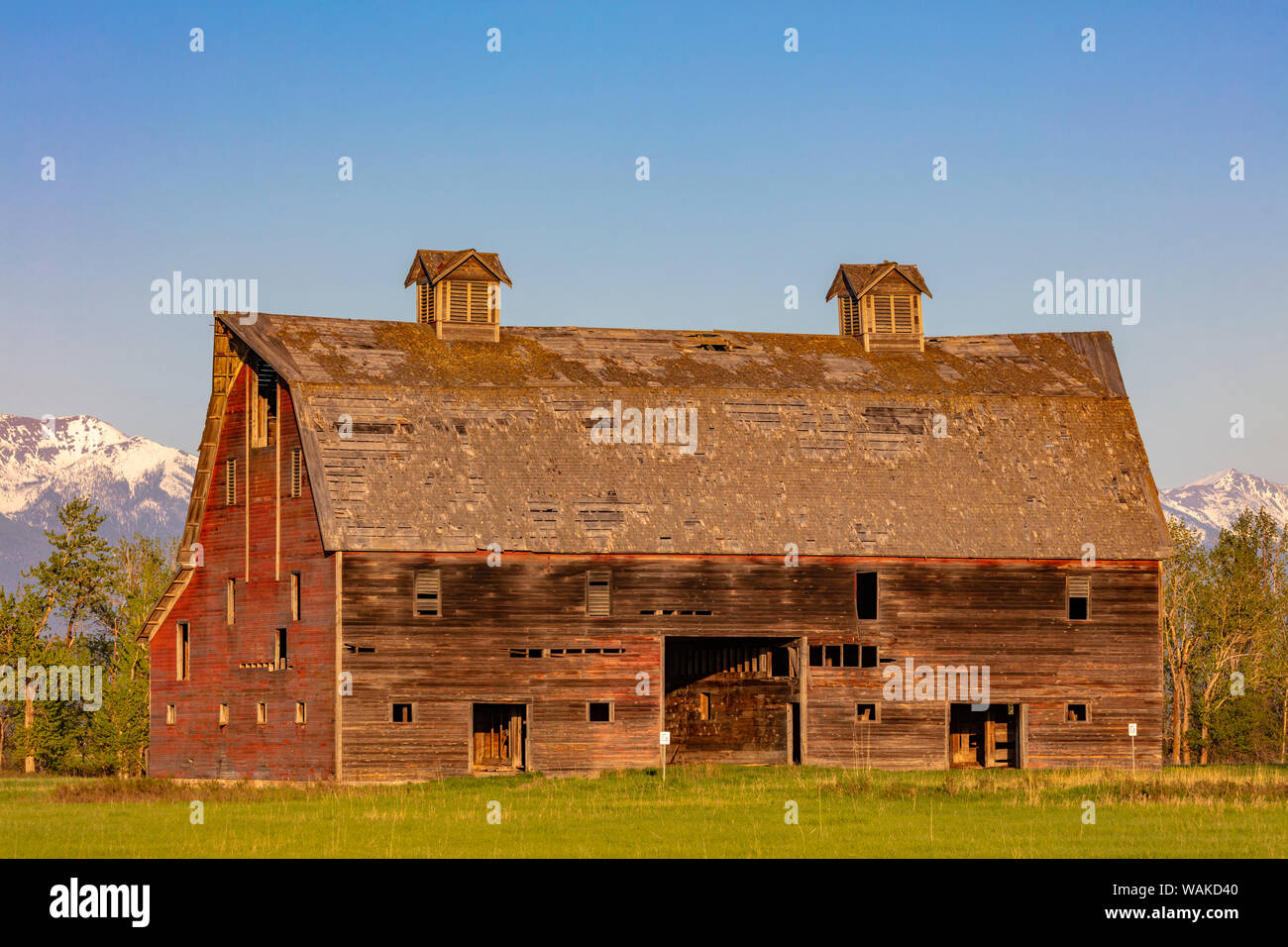 Die historische Porter Ranch, aka Blasdel Scheune, im unteren Tal südlich von Kalispell, Montana, USA Stockfoto