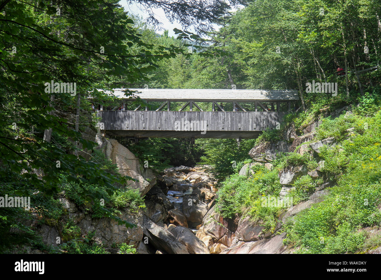 Sentinel Kiefer Brücke, Flume Gorge, Franconia Notch State Park, New Hampshire, USA. Stockfoto